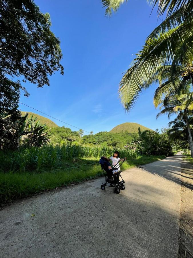 Bed and Breakfast Casa Aguelo Chocolate Hills Carmen  Экстерьер фото