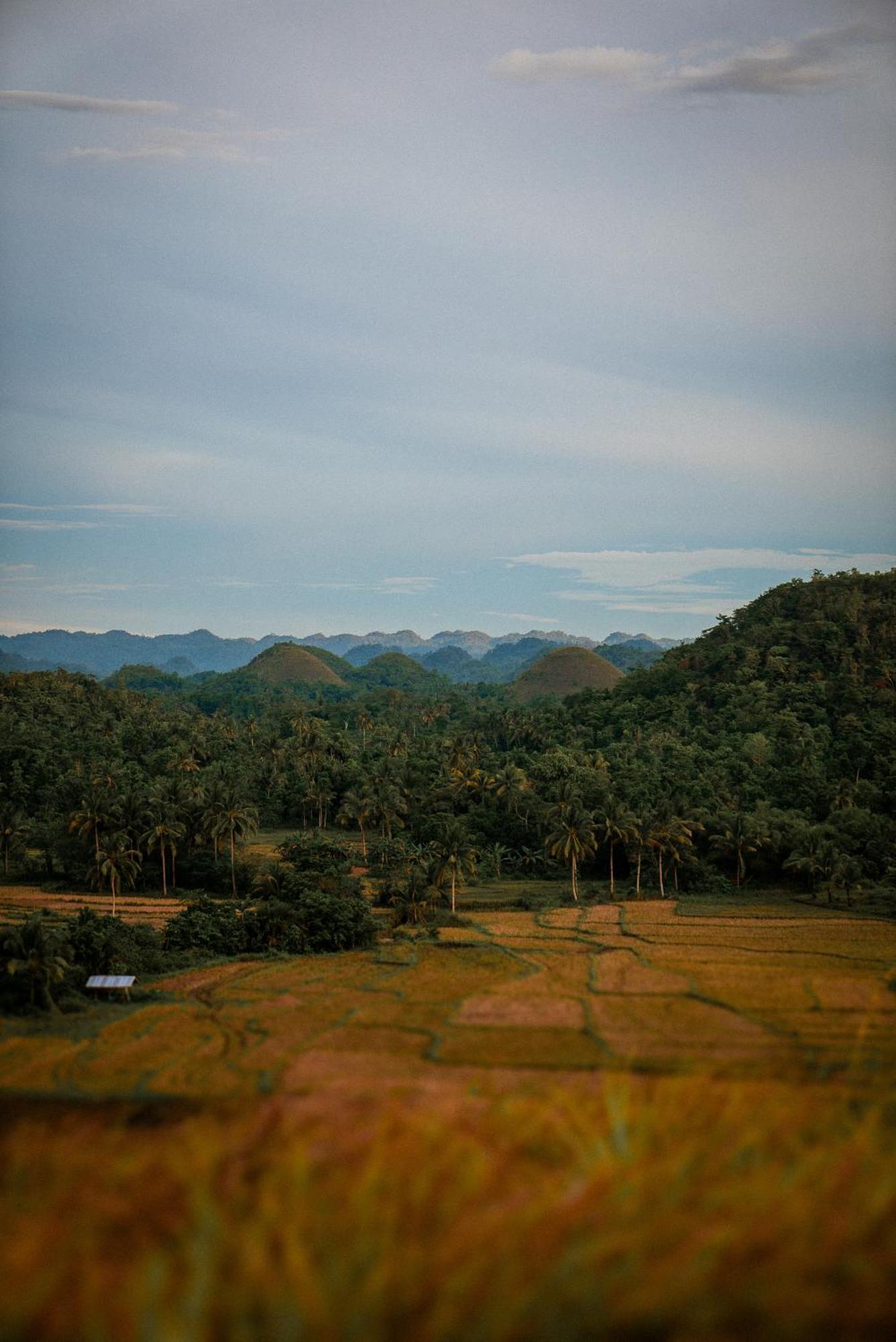 Bed and Breakfast Casa Aguelo Chocolate Hills Carmen  Экстерьер фото